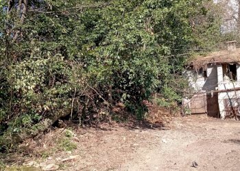Foto 16 - Rustic Via Sant' Agostino
 
5, Terre Roveresche - photo 16