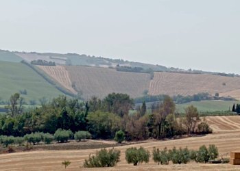 Foto 20 - Rustic Via Sant' Agostino
 
5, Terre Roveresche - photo 20