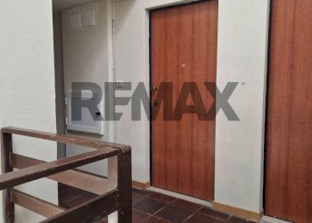 Hall / corridoio - Trilocale VIALE DEL BOSCHETTO
 
snc, Pizzoferrato - foto 32