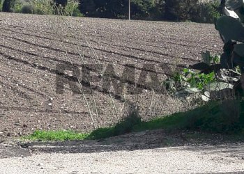 Non correlato - Terreno edificabile via chiasuzza
 
snc, Ispica - foto 2
