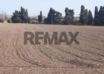 Non correlato - Terreno edificabile via chiasuzza
 
snc, Ispica - foto 9