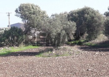Giardino - Terreno edificabile via chiasuzza
 
snc, Ispica - foto 10