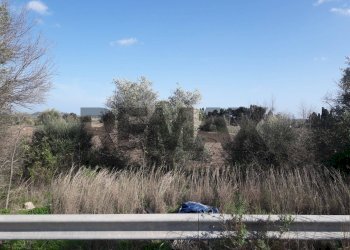 Non correlato - Terreno edificabile via chiasuzza
 
snc, Ispica - foto 15