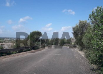 Non correlato - Terreno edificabile via chiasuzza
 
snc, Ispica - foto 23