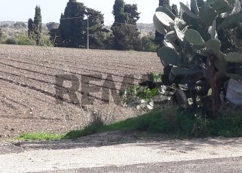Non correlato - Terreno edificabile via chiasuzza
 
snc, Ispica - foto 25