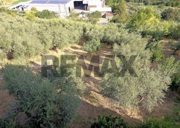 Giardino - Trilocale Via Strada Vecchia
 
7, Chieti - foto 15