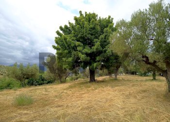 Giardino - Terreno edificabile Via Contrada San Leonardo
SNC, Bucchianico - foto 5