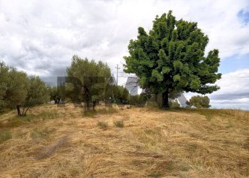 Giardino - Terreno edificabile Via Contrada San Leonardo
SNC, Bucchianico - foto 6