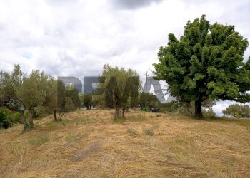 Giardino - Terreno edificabile Via Contrada San Leonardo
SNC, Bucchianico - foto 7