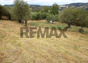 Giardino - Terreno edificabile Via Contrada San Leonardo
SNC, Bucchianico - foto 16