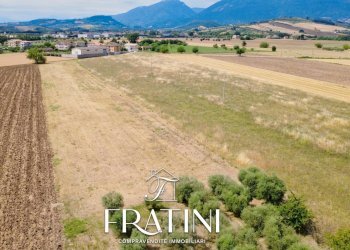 Foto 4 - Terreno agricolo Viale Marche, Maltignano - foto 4