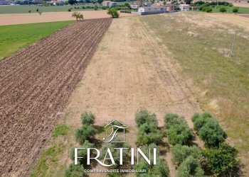 Foto 5 - Terreno agricolo Viale Marche, Maltignano - foto 5