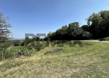 Giardino - Rustico STRADA VILLA CAGNOTTI
 
90, Medesano - foto 2