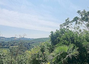 Vista - Rustic Castel Boglione - photo 11