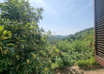 Giardino - Rustic Castel Boglione - photo 21