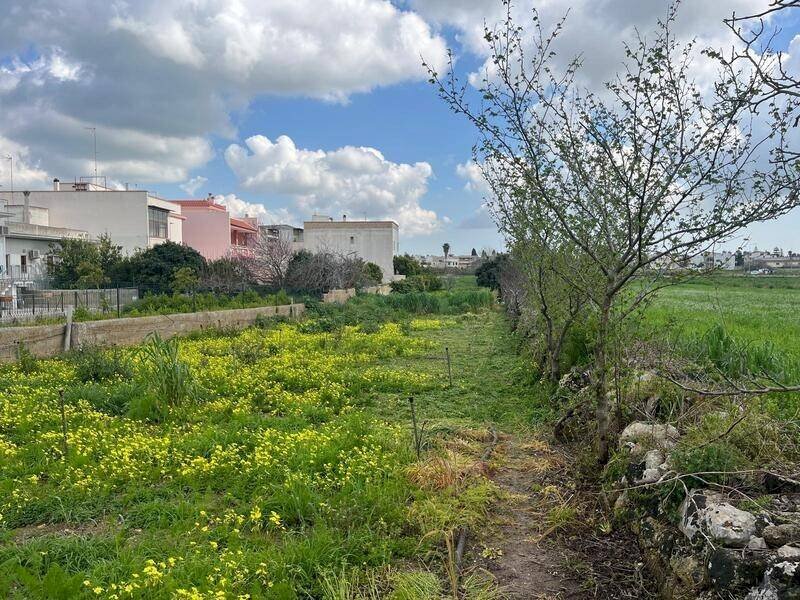Terreno - Terreno edificabile via Vittorio Emanuele III, Ruffano - foto 3
