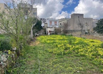 Terreno - Terreno edificabile via Vittorio Emanuele III, Ruffano - foto 4