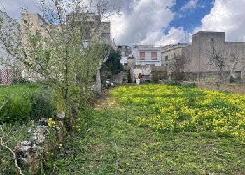 Terreno - Terreno edificabile via Vittorio Emanuele III, Ruffano - foto 5