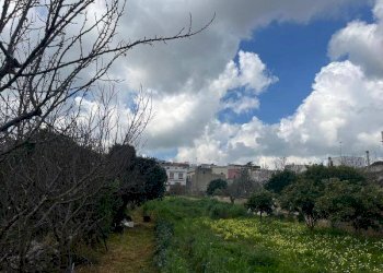 Terreno - Terreno edificabile via Vittorio Emanuele III, Ruffano - foto 9