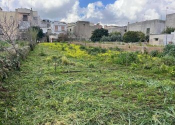 Terreno - Terreno edificabile via Vittorio Emanuele III, Ruffano - foto 11