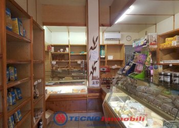 Interno non residenziale - Negozio via Venaria, Torino (zona Madonna Campagna) - foto 2