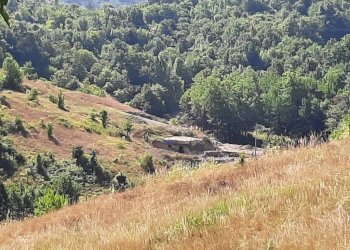 Terreno - Rustico Località Maddalena, Sassello - foto 6