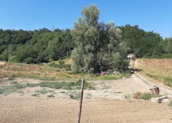 Terreno - Rustico Località Maddalena, Sassello - foto 15