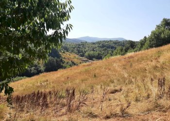 Terreno - Rustico Località Maddalena, Sassello - foto 16