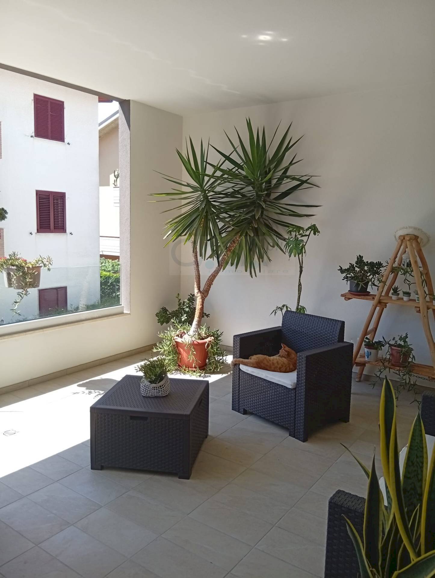Foto 1 - Three-room apartment Via etruria, Alba Adriatica - photo 1