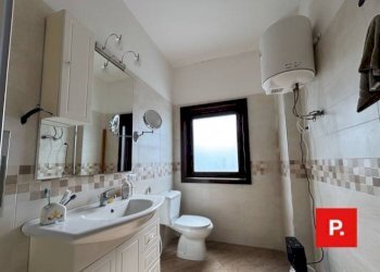 Foto 24 - Shed SS 158, Caiazzo - photo 24