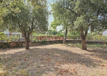 Foto 37 - Villa Roccastrada - foto 37