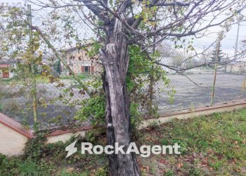 Terreno - Villa via G. D'Annunzio, 4, Catignano - foto 14