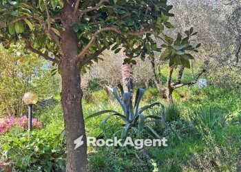 Giardino - Rustic via Panoramica, Massarosa - photo 26