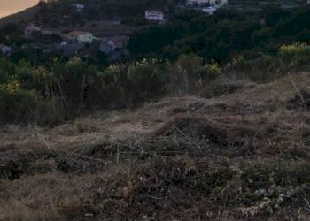 Terreno - Agricultural land contrada Santa Caterina, Maratea - photo 5