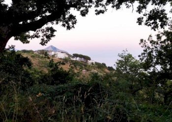 Vista - Agricultural land contrada Santa Caterina, Maratea - photo 19