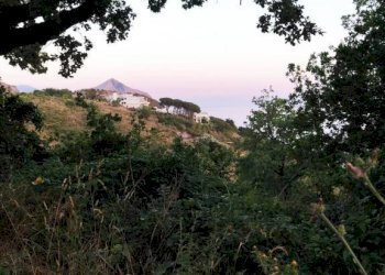 Terreno - Agricultural land contrada Santa Caterina, Maratea - photo 22