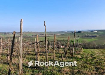Terreno - Rustic FRAZIONE CAMPORELLO 5, San Damiano al Colle - photo 6