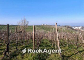 Terreno - Rustic FRAZIONE CAMPORELLO 5, San Damiano al Colle - photo 22