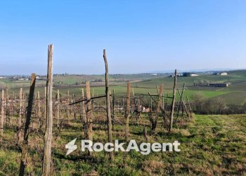 Terreno - Rustic FRAZIONE CAMPORELLO 5, San Damiano al Colle - photo 6