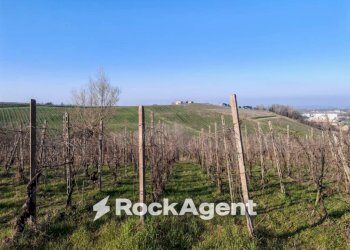 Terreno - Rustic FRAZIONE CAMPORELLO 5, San Damiano al Colle - photo 22