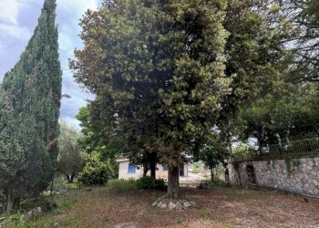 Terreno - Terreno edificabile via San Martinello, 92, Monterotondo - foto 15