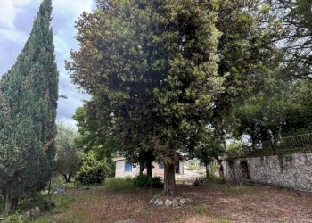 Terreno - Terreno edificabile via San Martinello, 92, Monterotondo - foto 17