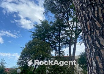 Zona - Villa via G. Donizetti, 31, Zagarolo - foto 22