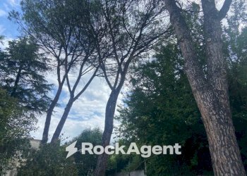 Zona - Villa via G. Donizetti, 31, Zagarolo - foto 23