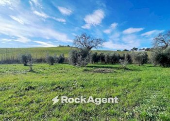 Terreno - Rustico Località Chiappino, 116, Rosignano Marittimo - foto 29
