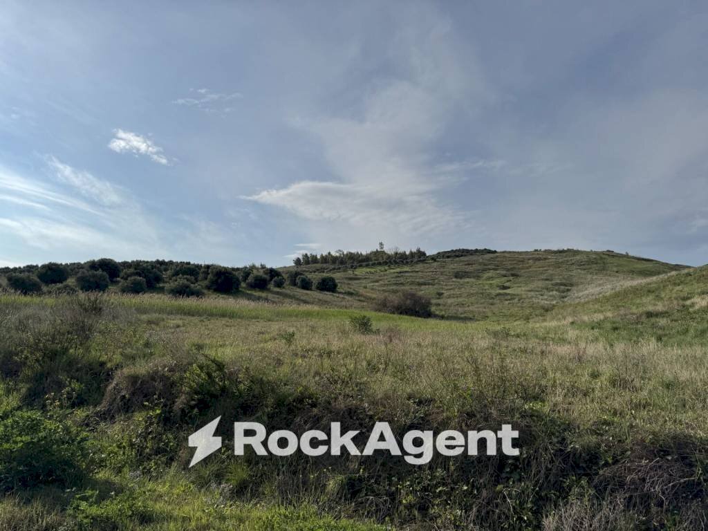 Terreno - Terreno agricolo viale Emilia, 1, Catanzaro - foto 3