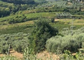 Terreno - Casa indipendente contrada Piane, 76, Francavilla al Mare - foto 17