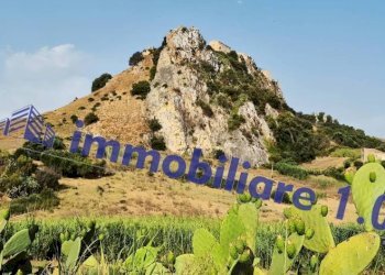 Terreno - Rustico Ponte Calatubo, Alcamo - foto 13