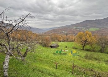 IMG_E3022.JPG - Villa Strada Bergotto 42, Berceto - photo 11