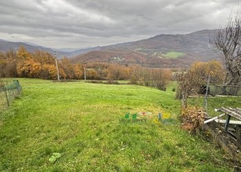 IMG_E3041.JPG - Villa Strada Bergotto 42, Berceto - photo 29